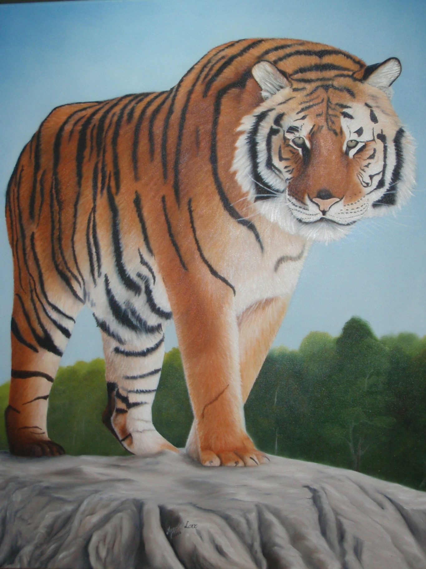 Tiger