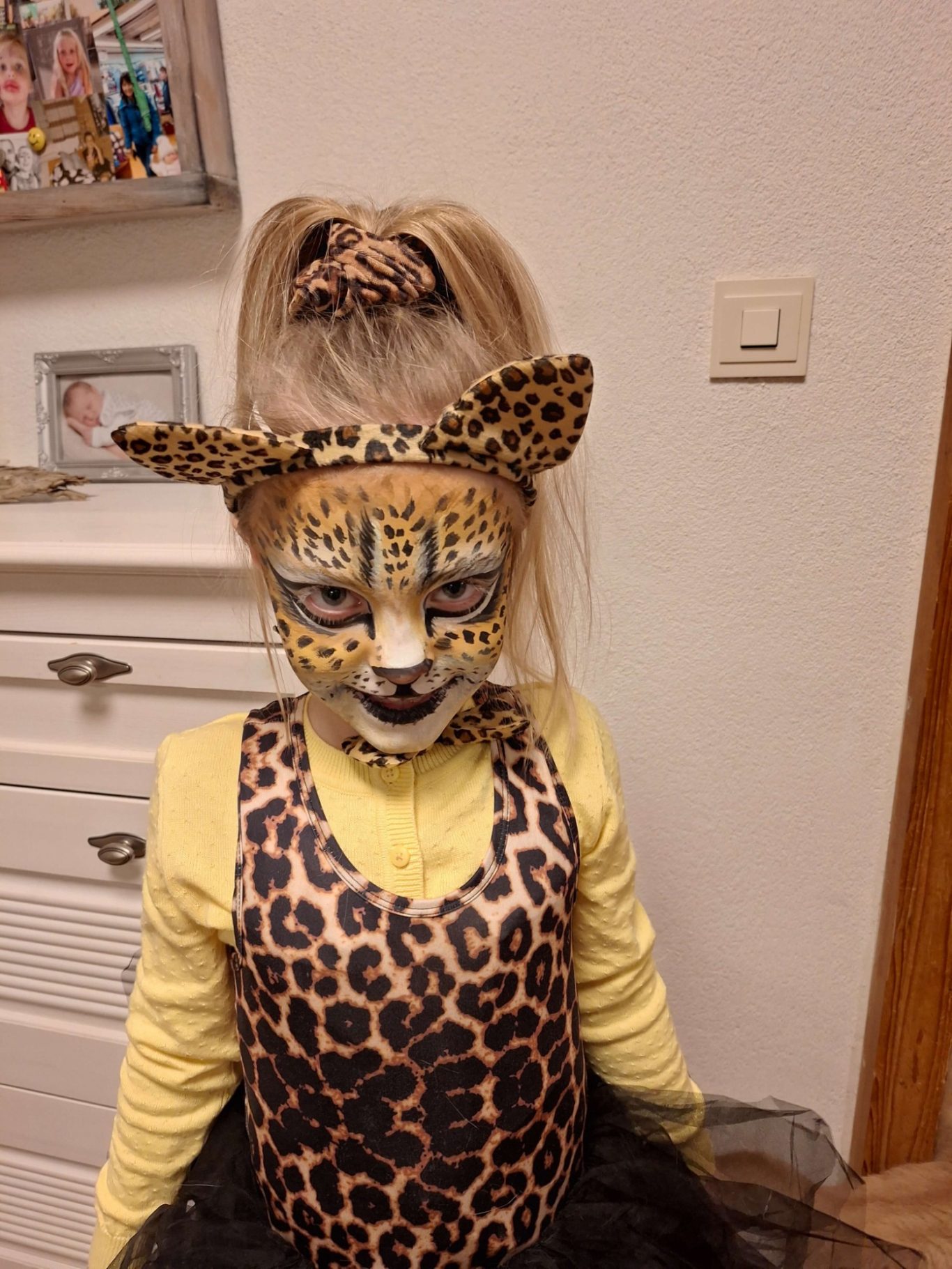 Leopard – Wild und verspielt