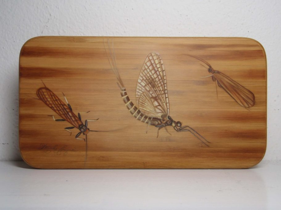 FB 08 Stein.- Eintagsfliege - Köcherfliege