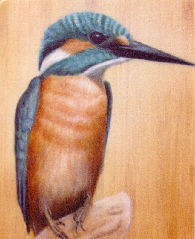 „Eisvogel“ – Postkarte Nr. 06