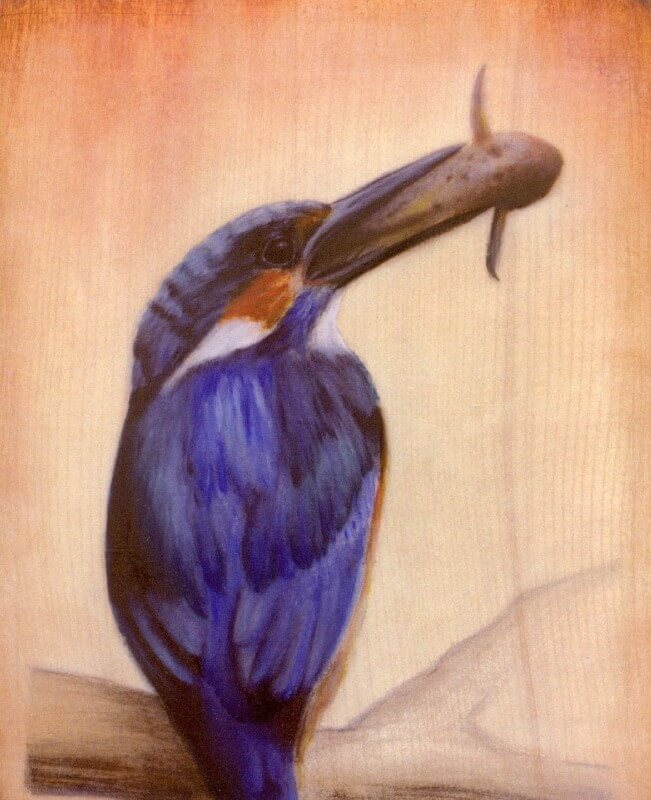 „Eisvogel“ – Postkarte Nr. 05