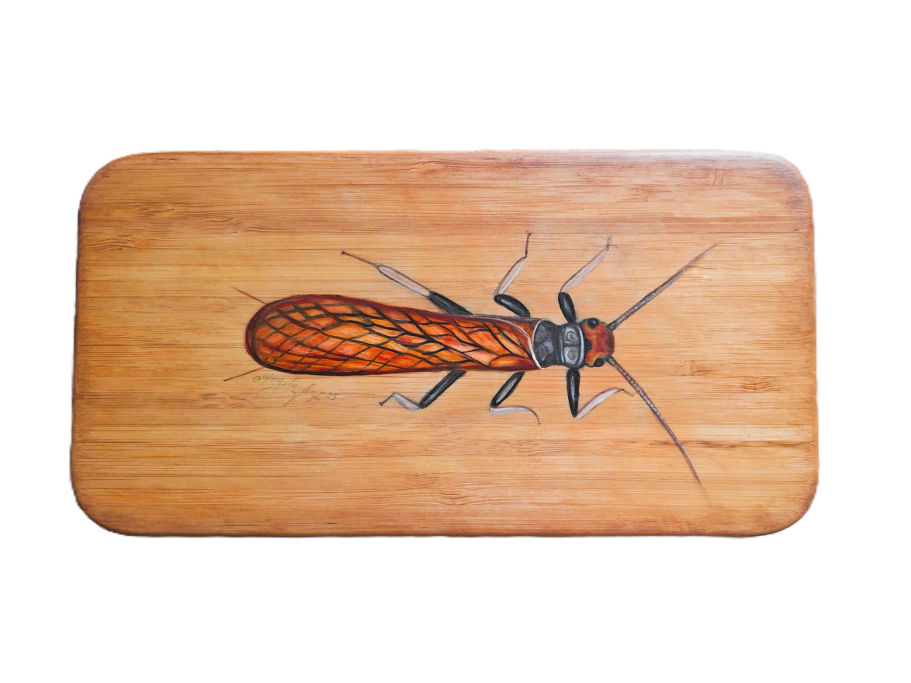 Steinfliege Kl. Dose € 110,- Gr. Dose € 120,-