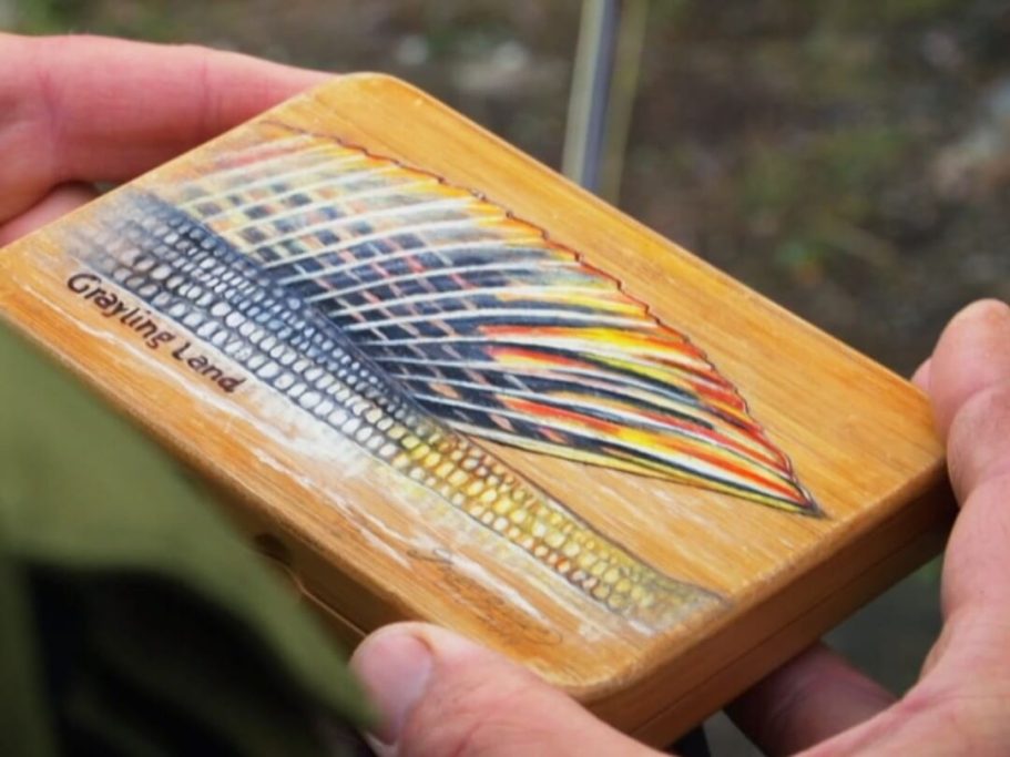 Äschen - Rückenflosse