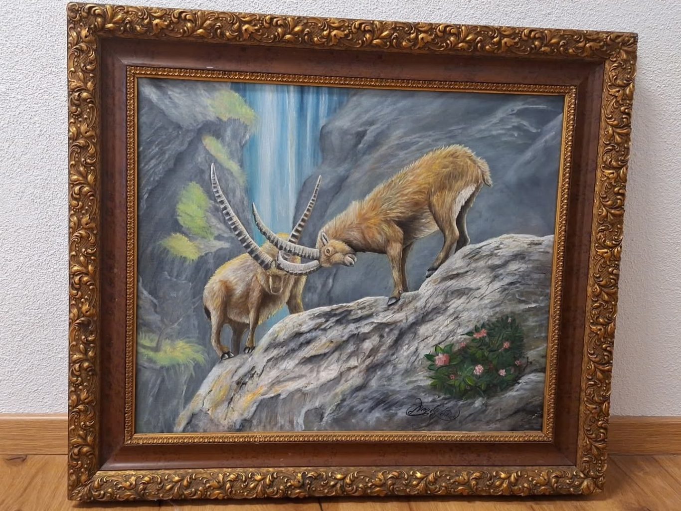 Steinböcke beim Kampf