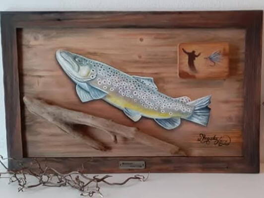 Bachforelle mit Fliegendose