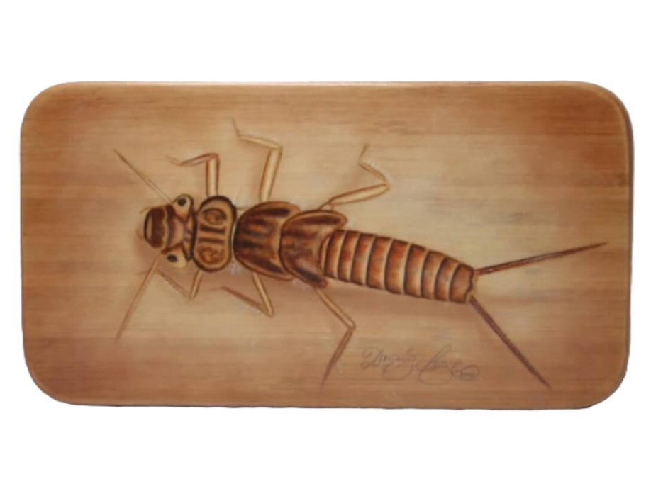 Steinfliegenlarve Kl. Dose € 110,- Gr. Dose € 120,-