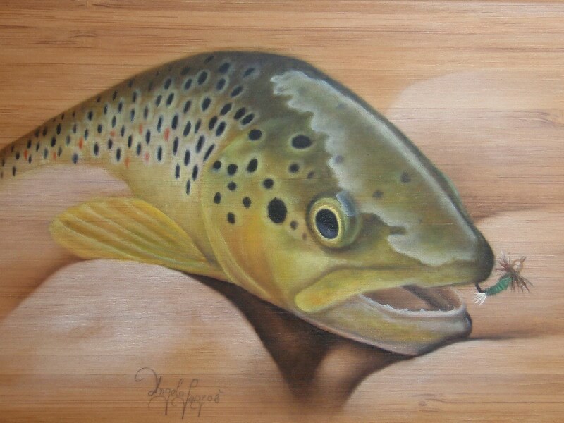 „Bachforelle“ – Postkarte Nr. 07